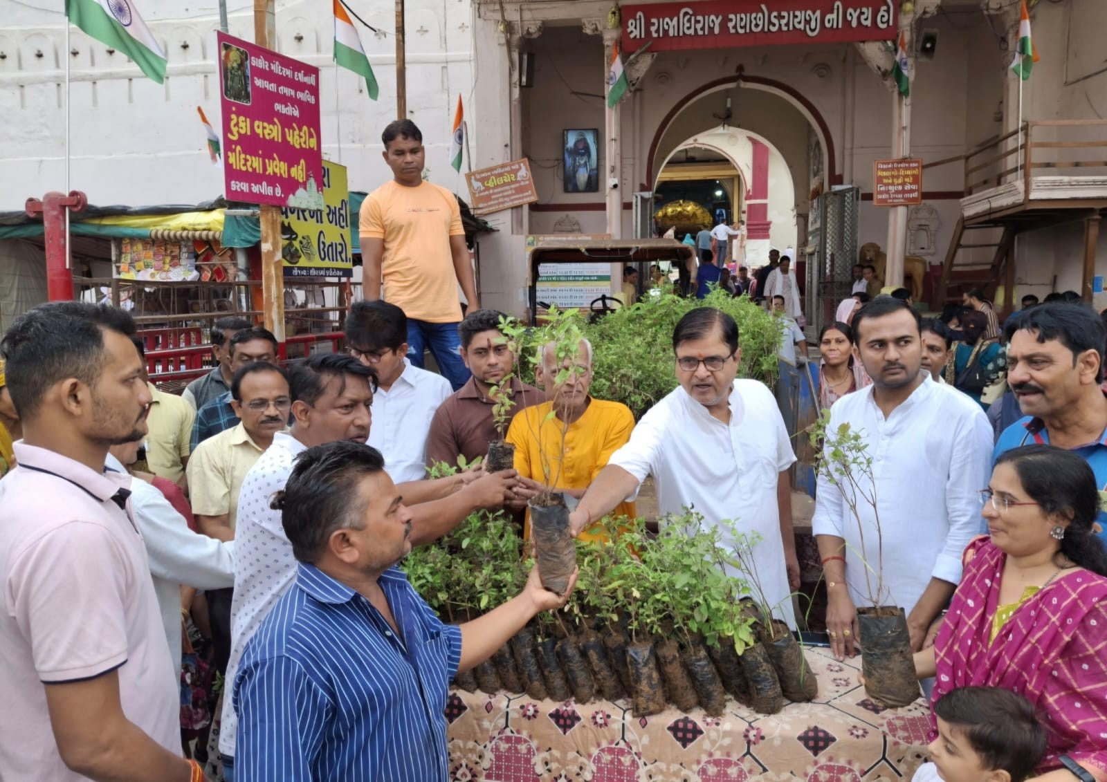 શ્રી રણછોડરાયજી મંદિર દ્વારા પવિત્ર શ્રાવણ માસ અને 78 માં સ્વાતંત્ર પર્વનીરાજયકક્ષાની ઉજવણીના ભાગરૂપે તુલસીજીના રોપાઓનું વિતરણ