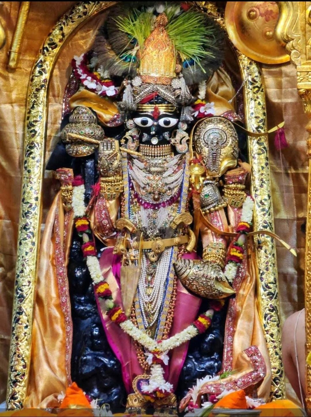 તા: ૦૨/૧૦/૨૦૨૫ ના દશહરા પર્વના શ્રી ઠાકોરજી ના દર્શન